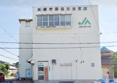 ＪＡたかつき 芝生